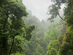 -青城山
