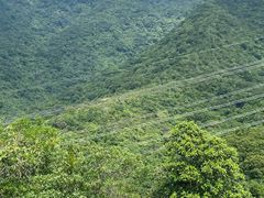 -梧桐山风景名胜区