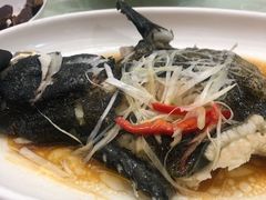 -悦来酒家·正宗闽南菜(西街店)