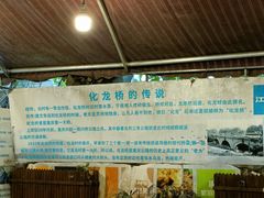 -化龙桥九宫格火锅(清水河店)