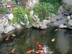 -鲤院·新中式美学·庭院餐厅(夫子庙店)