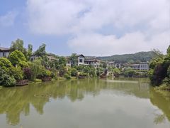 -铁山坪森林公园