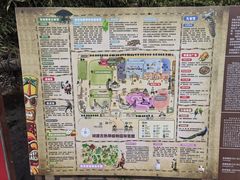 -呀路古热带植物园