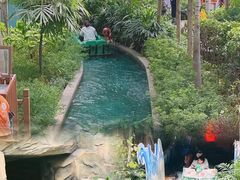 -南宫五洲植物乐园