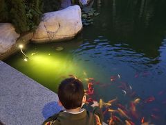 -西安华清御汤酒店