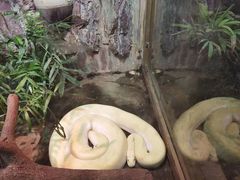 -上海大自然野生昆虫馆