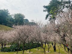 -广州市白云山风景名胜区