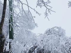 -张家界天门山国家森林公园