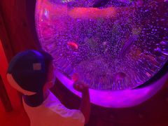 -沈阳海洋探索中心