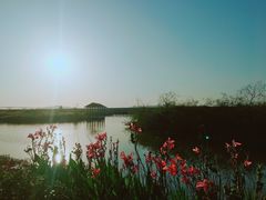 -漩门湾国家湿地公园