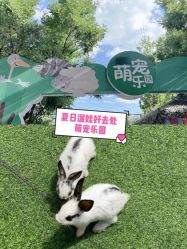 -萌宠亲子动物乐园(槐房万达店)