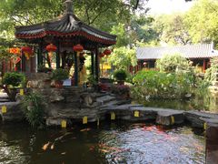 -白家大院·王府宫廷菜(苏州街店)