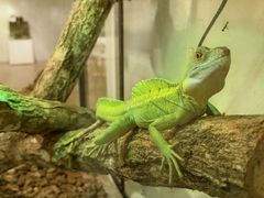 -上海昆虫博物馆