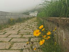 -嵛山岛