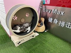 -炼呗运动康复·健身工作室(紫竹桥店)