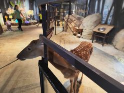 -酷嗒动物文化乐园(cutezoo西溪乐天城店)