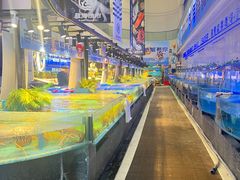-驻海渔市(置信店)