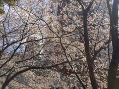 -玛格萝妮比萨屋(四平店)