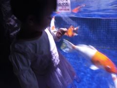 -左海海底世界
