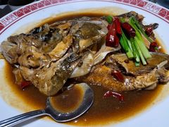 旺顺阁经典大鱼头-旺顺阁·北京菜(北辰上品+)