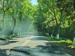 -天目湖涵田度假村