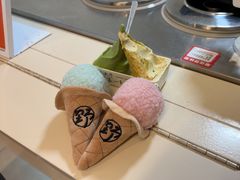 -野人先生现做冰淇淋(北京环宇荟店)