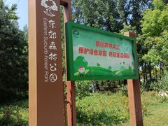 -东郊湿地公园