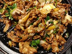 -北平盛世·新京菜·北京烤鸭(劲松·双井店)