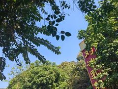 -光明刘冰乳鸽店(光明法政北路店)