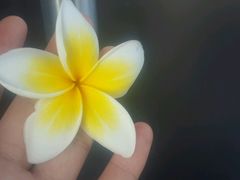 -CoCo都可(富民一店)