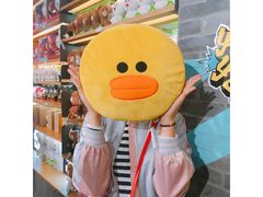 -line friends(明洞旗舰店)