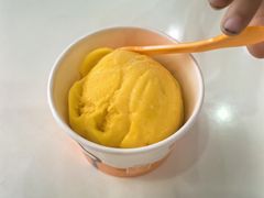 -iceason爱茜茜里·意大利健康冰淇淋(骑龙巷店)