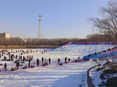 -大兴滨河森林公园