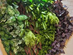 -鑫小城故事·藕汤·家常菜(海林广场店)