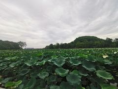 -石湖景区