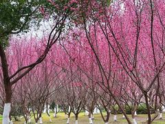 -滨湖塘西河公园