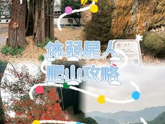 -云栖竹径