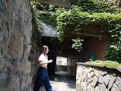 -李子坝梁山鸡(李子坝大鸡哥店)