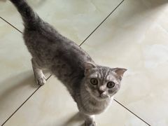 -派特宠物医院(圆融广场店)