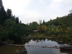 -云溪植物园