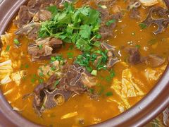 -杨氏青龙虾·羊蝎子(珠江路店)