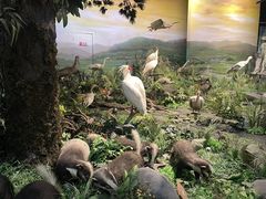 -陕西自然博物馆