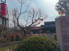 -雅达·阳羡溪山小镇中心