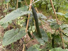 -美家乐农庄·露营·团建(大治路店)