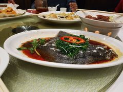 清蒸多宝鱼-恒宝和宴(合生广场店)