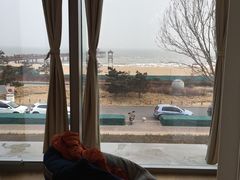 -猫的天空之城概念书店(北戴河蔚蓝海岸店)