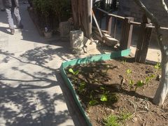 -正阳书局(西四南大街店)