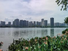 -飞来湖湿地公园