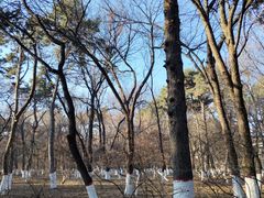 -长春市南湖公园