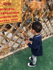 -萌宠亲子动物乐园(槐房万达店)